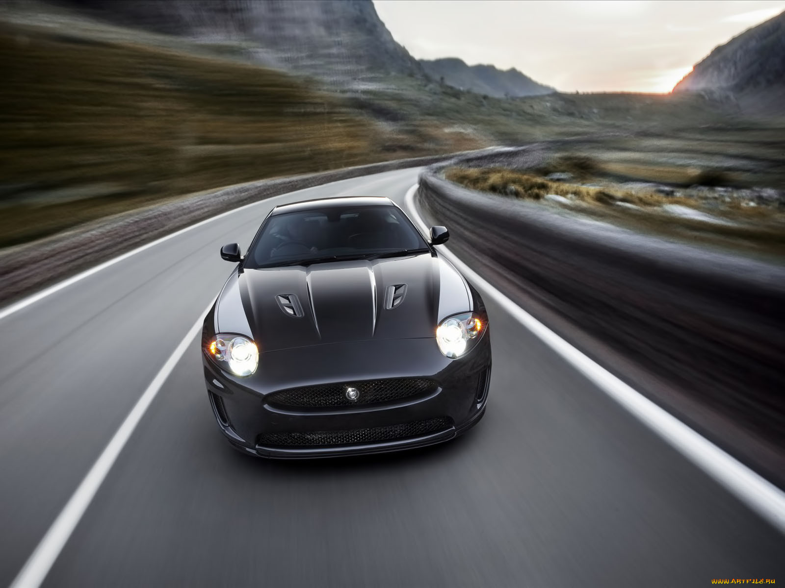 , jaguar